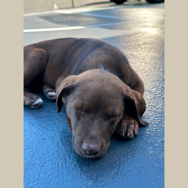 Photo of Lexi ❤️🎾