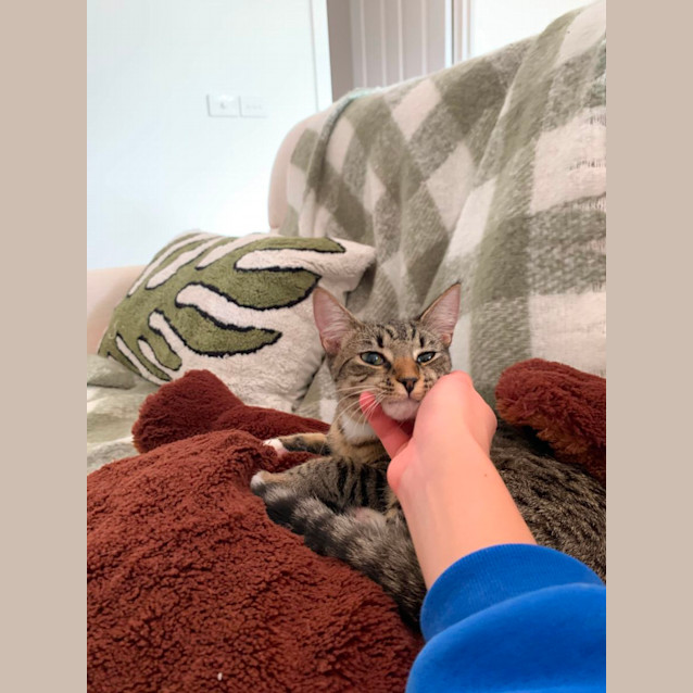 Photo of Calypso 🍦😋