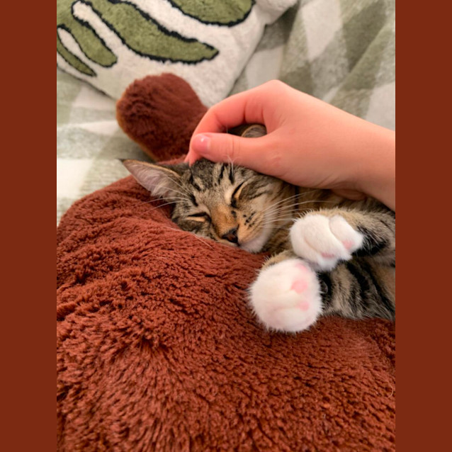 Photo of Calypso 🍦😋