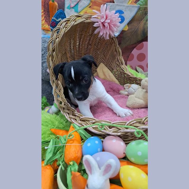 Photo of Charlie