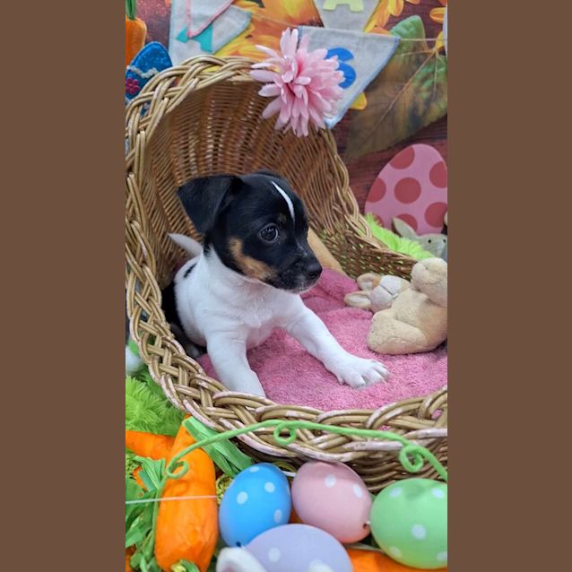 Photo of Charlie