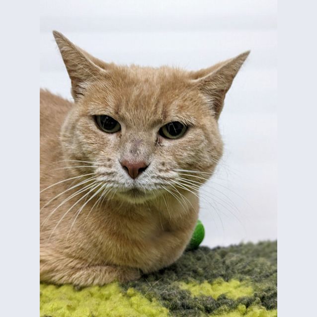 Photo of 👓 Samwise 5059👓