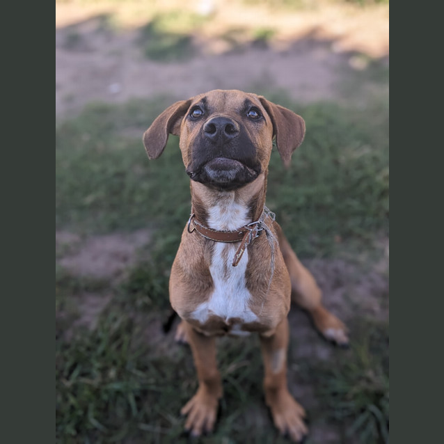 Photo of Eclair