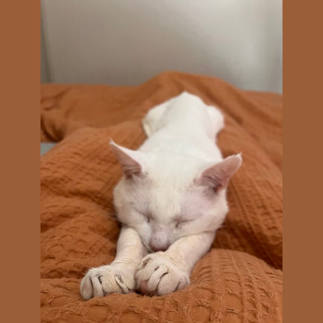 Photo of Ted   Located In Abbotsford