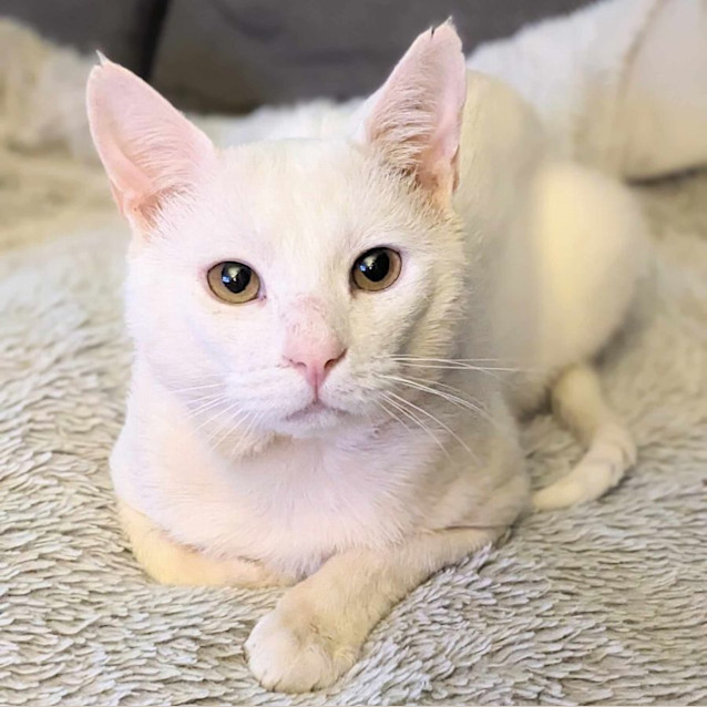 Photo of Ted   Located In Abbotsford