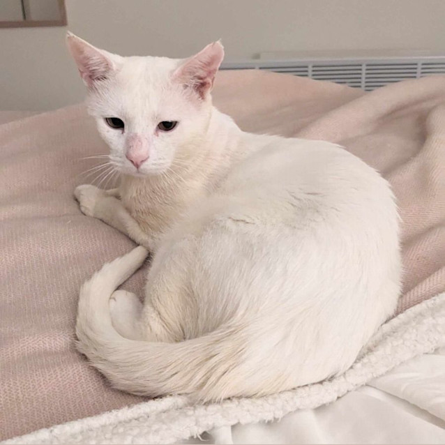 Photo of Ted   Located In Abbotsford