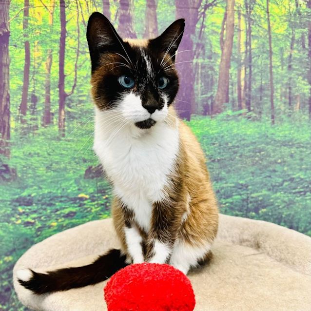 Photo of Glen   Located In Preston