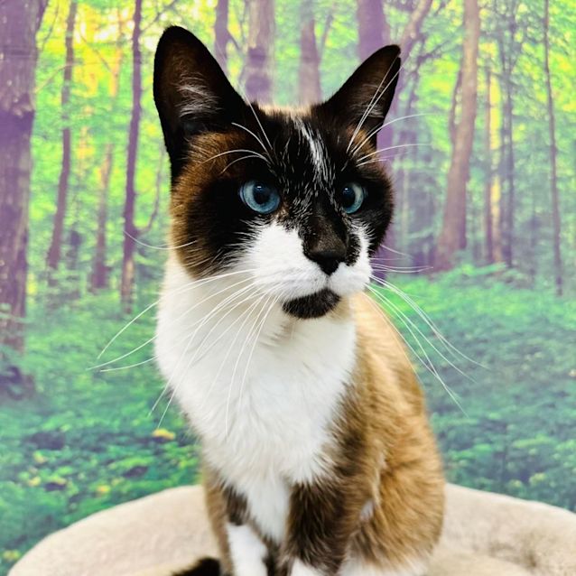 Photo of Glen   Located In Preston
