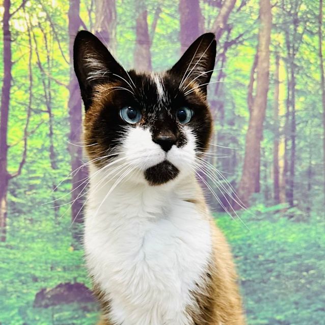 Photo of Glen   Located In Preston