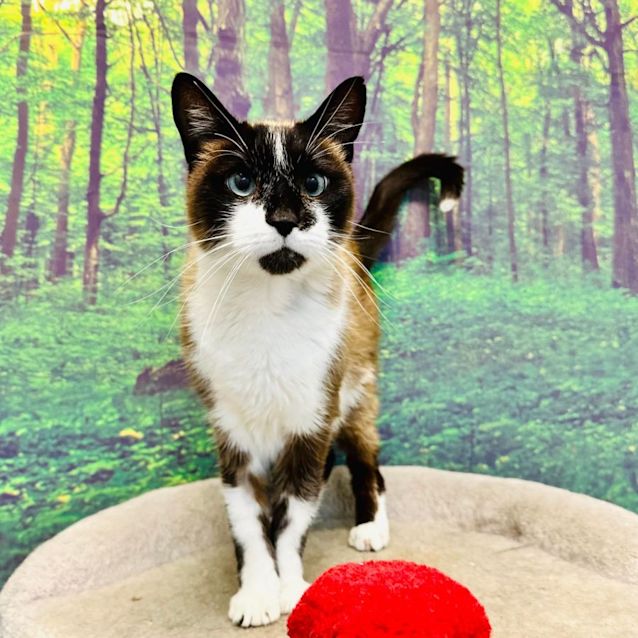 Photo of Glen   Located In Preston