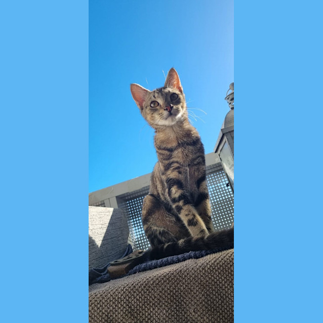 Photo of Kai