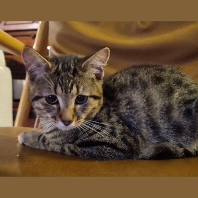 Photo of Lily