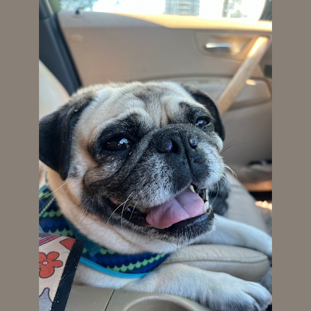 Photo of Bernie 🐻‍❄️