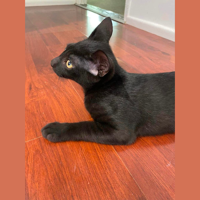 Photo of Genki