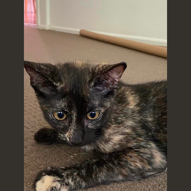 Photo of Momo