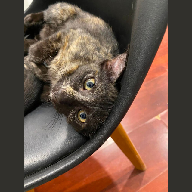 Photo of Momo