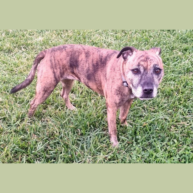 Photo of Bronte