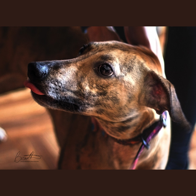 Photo of Elsa