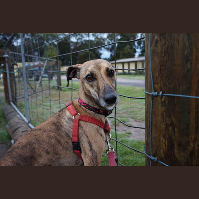 Photo of Elsa