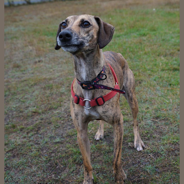 Photo of Elsa