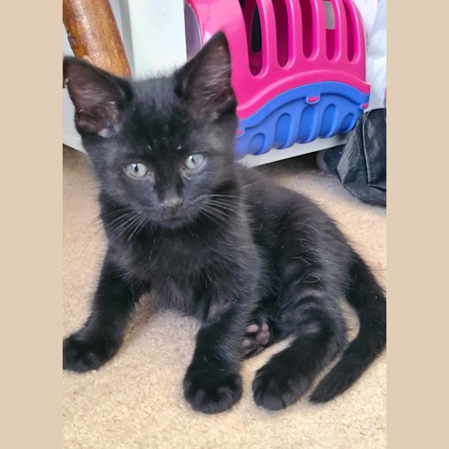 Photo of Jet