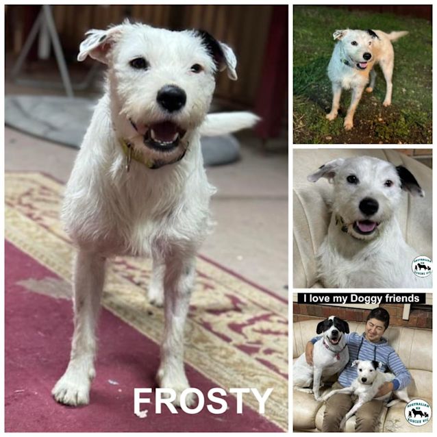 Photo of Frosty 