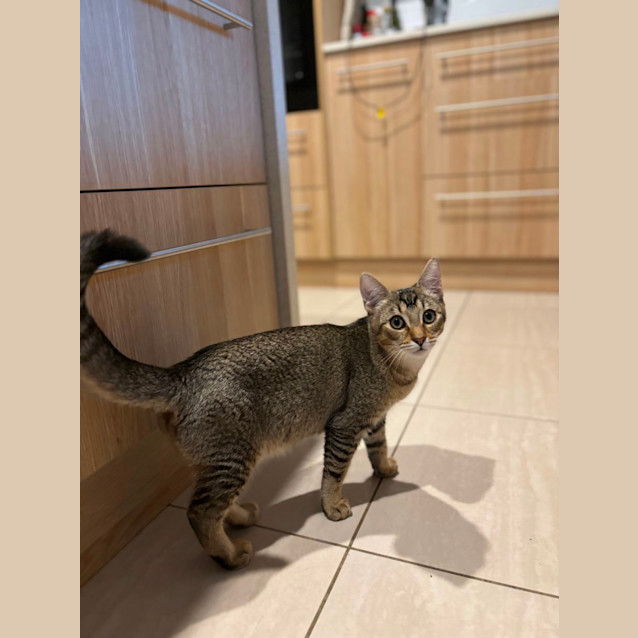Photo of Skipper
