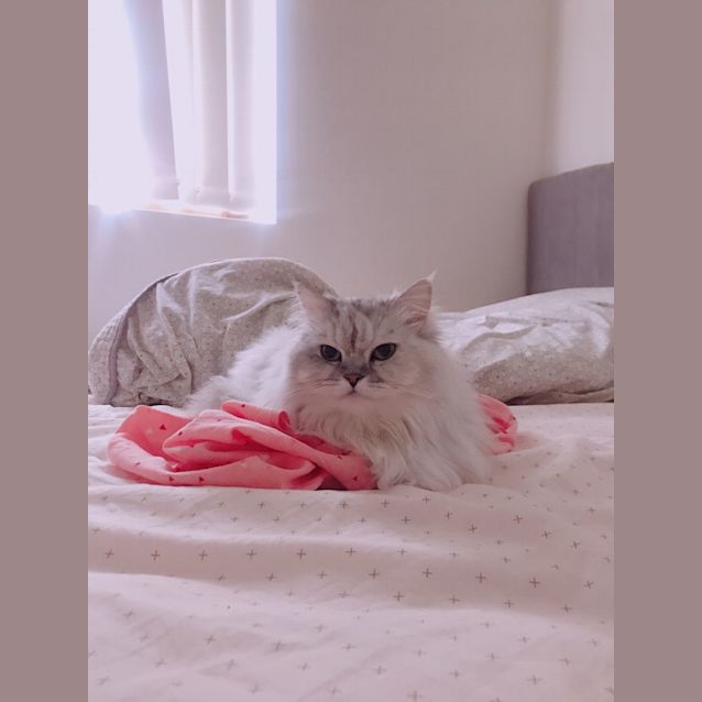 Photo of Anna & Kloud