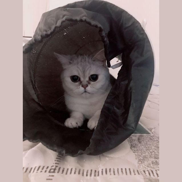 Photo of Anna & Kloud