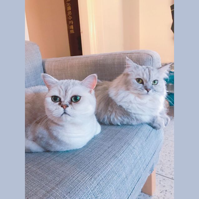 Photo of Anna & Kloud