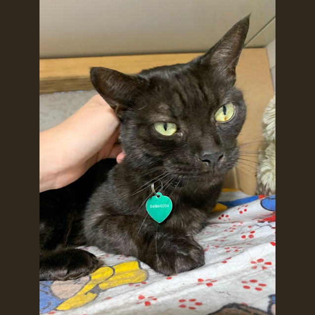 Photo of Milo