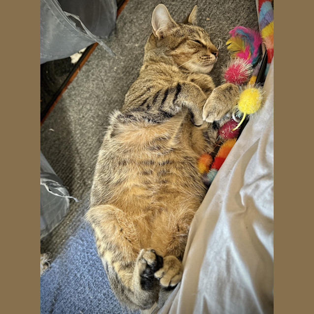 Photo of Jefferey 