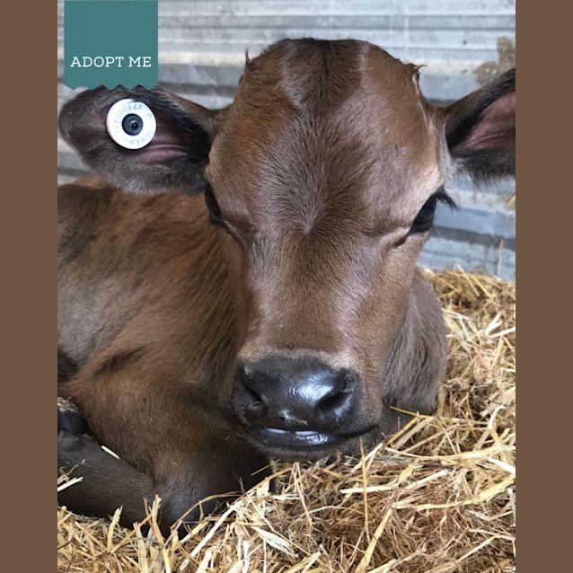 Photo of Johnny And Pickle