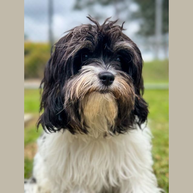 Photo of Molly 