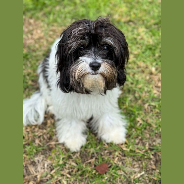 Photo of Molly 