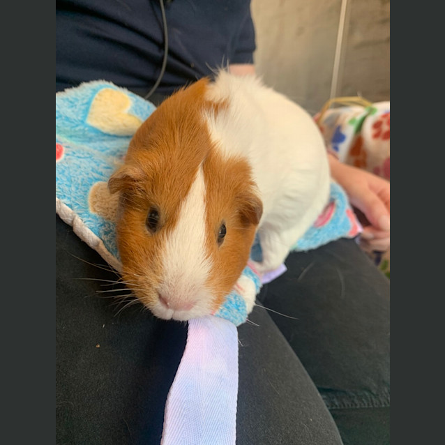 Photo of Emma