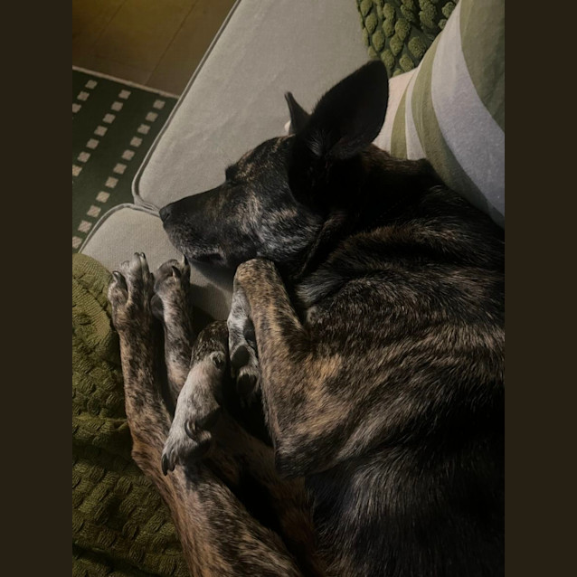 Photo of Jazza
