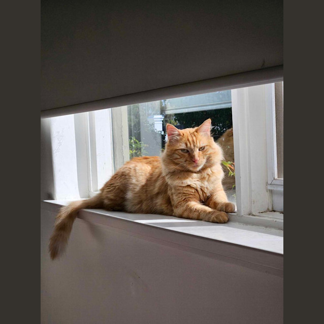 Photo of 🐾Paudie🐾