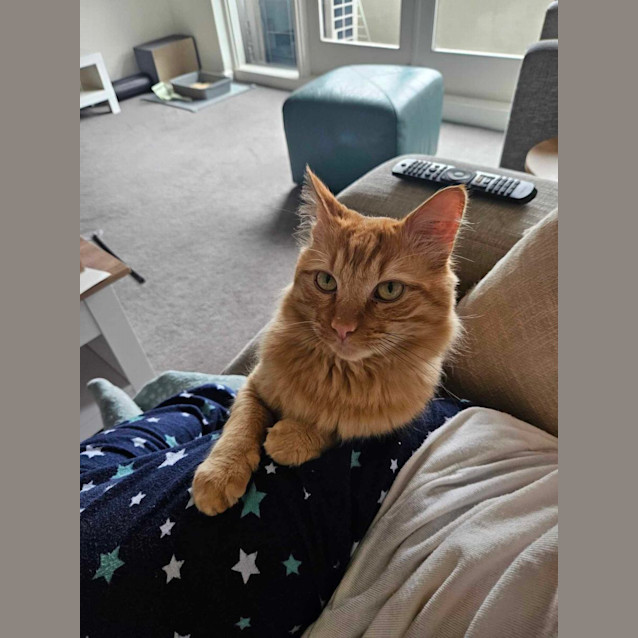 Photo of 🐾Paudie🐾