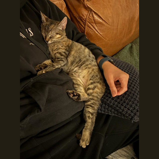 Photo of Barbara (Babsy For Short)