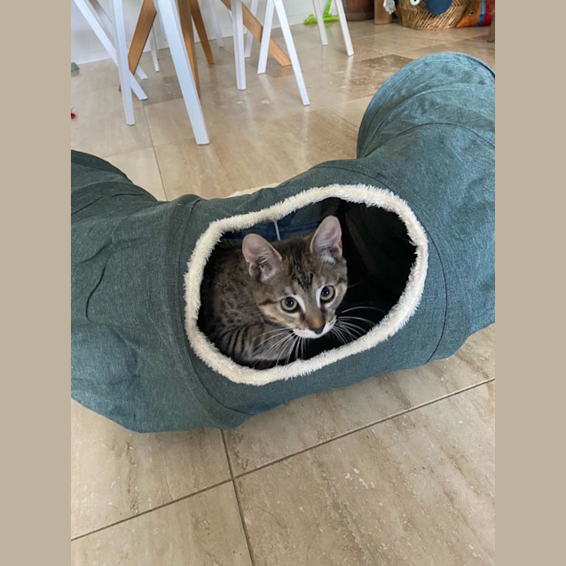 Photo of Barbara (Babsy For Short)