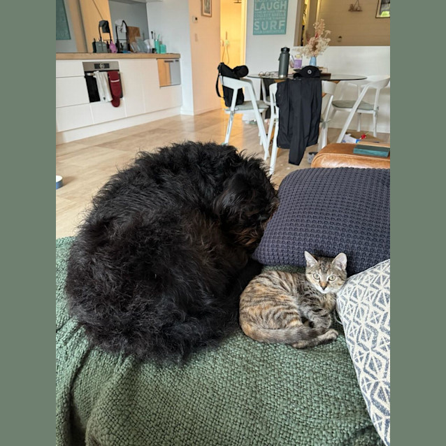 Photo of Barbara (Babsy For Short)