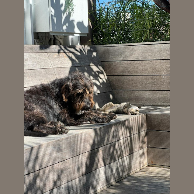 Photo of Barbara (Babsy For Short)