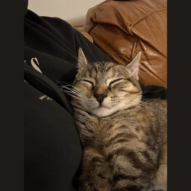 Photo of Barbara (Babsy For Short)