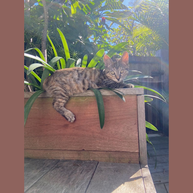 Photo of Barbara (Babsy For Short)