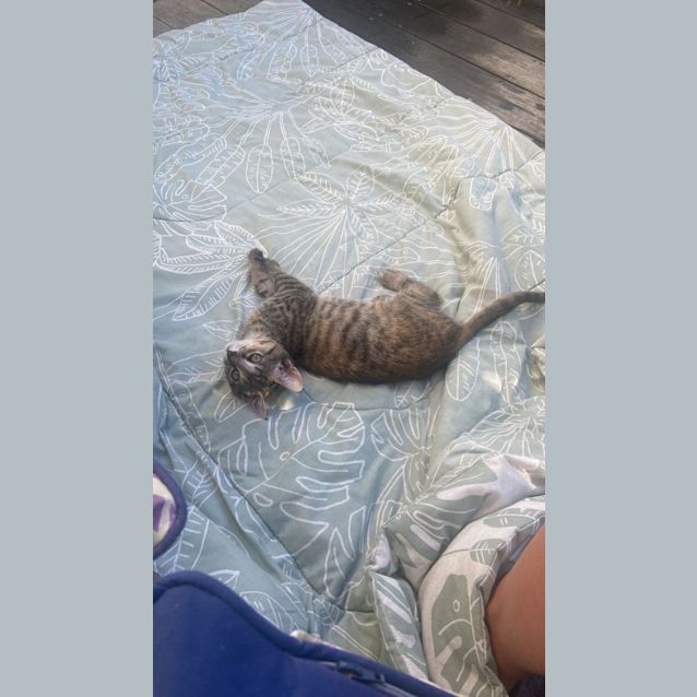 Photo of Barbara (Babsy For Short)