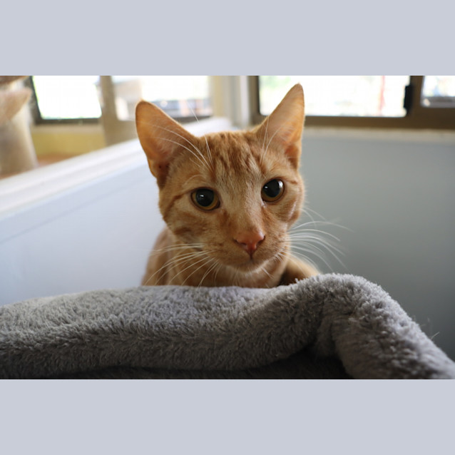 Photo of Bruce