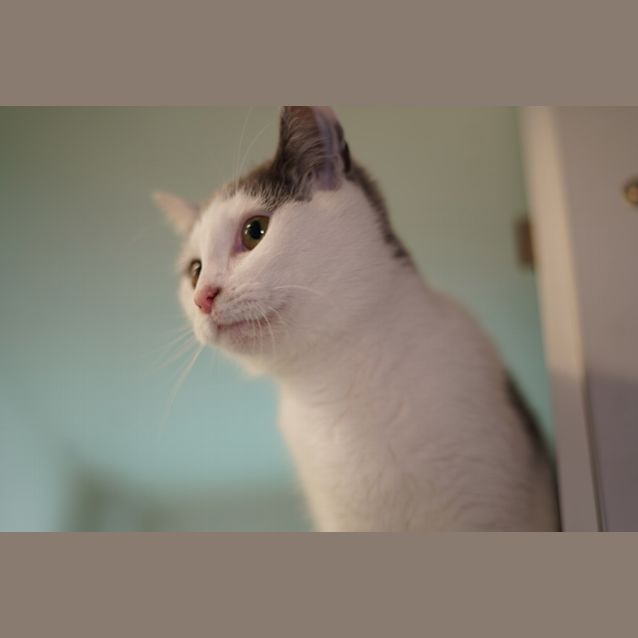 Photo of Yuko
