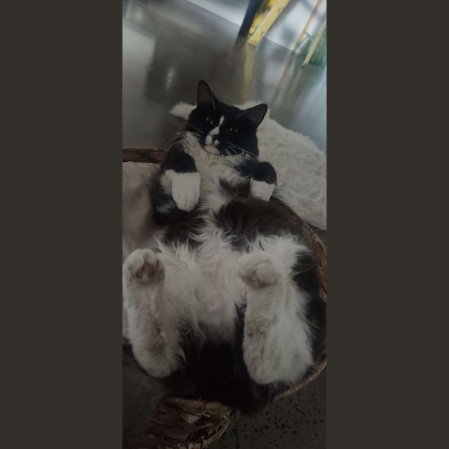 Photo of Jack