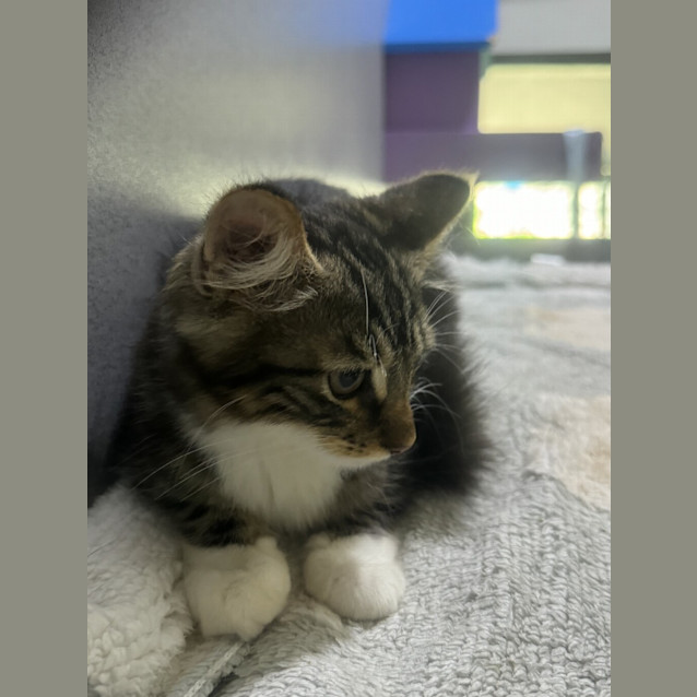 Photo of Bobby